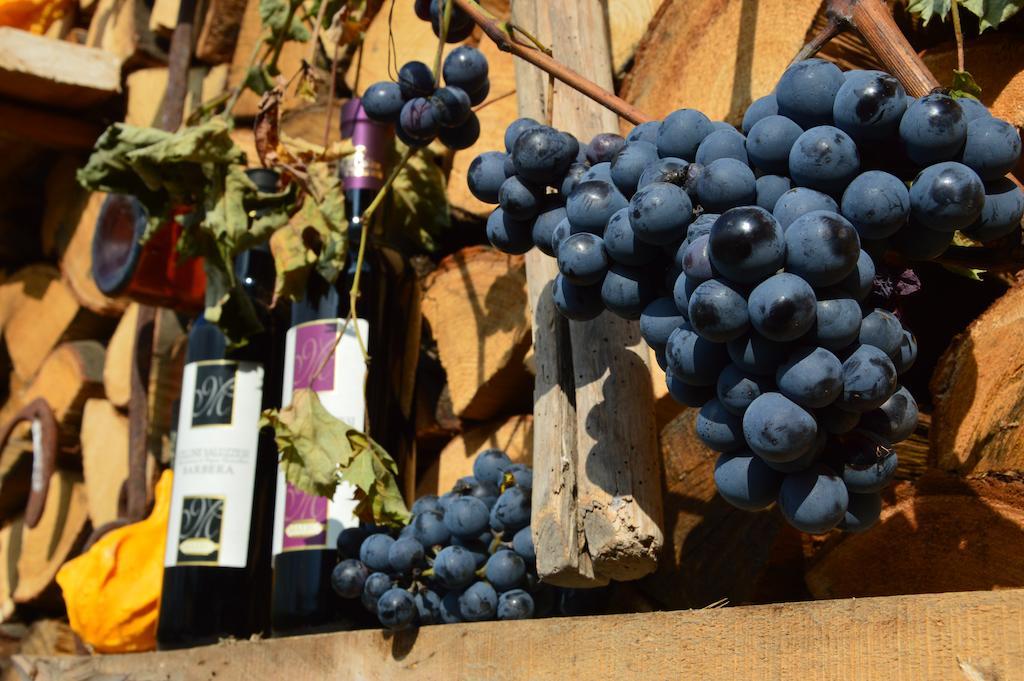 Agriturismo Il Nido Di Bacco Villa Saluzzo Exteriör bild